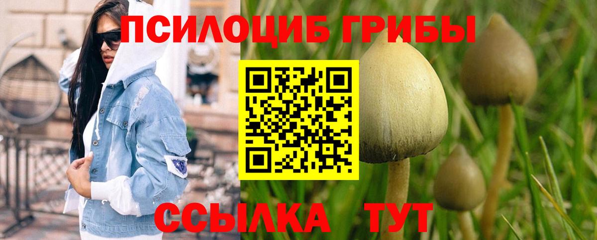 Галлюциногенные грибы Psilocybe  Псилоцибиновые грибы Psilocybe  Вход с VPN  Киселёвск 